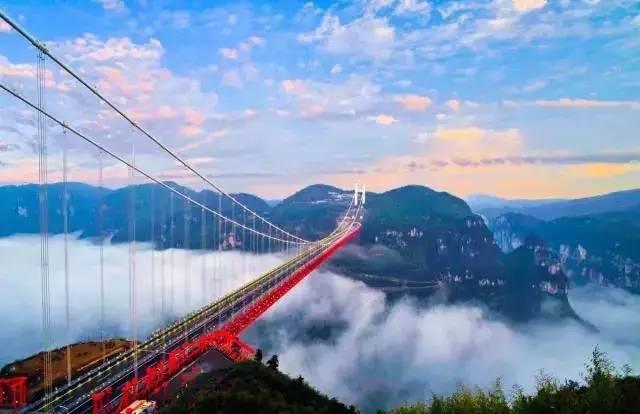 新华全媒+|“汪汪队”守护春运路
