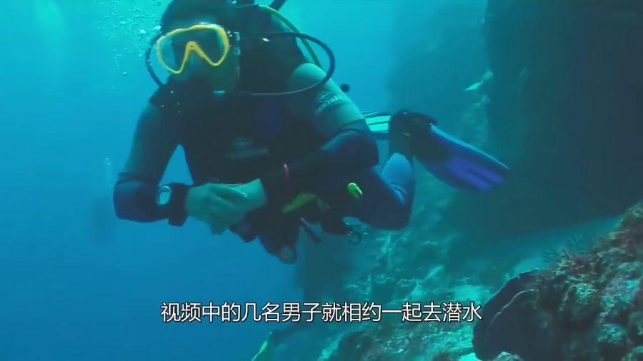 有没有猪和猴结婚越来越好的?-专从疑问中汲取力量